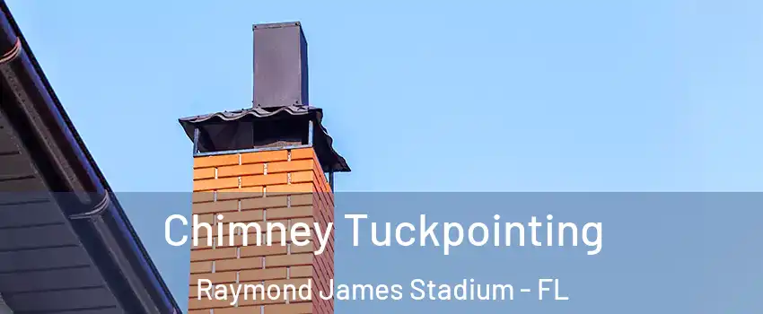 Chimney Tuckpointing Raymond James Stadium - FL