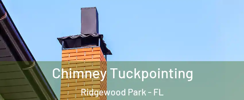 Chimney Tuckpointing Ridgewood Park - FL