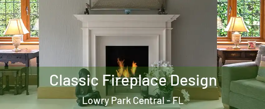Classic Fireplace Design Lowry Park Central - FL