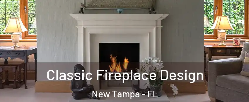 Classic Fireplace Design New Tampa - FL