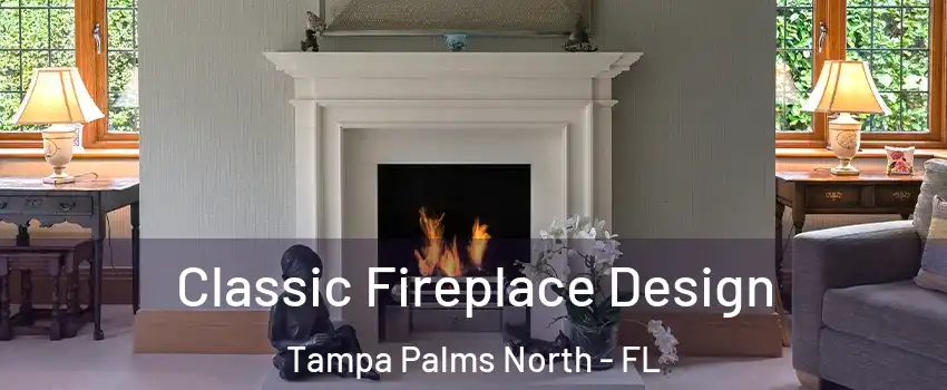 Classic Fireplace Design Tampa Palms North - FL
