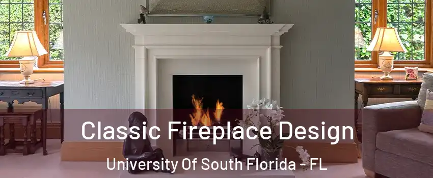 Classic Fireplace Design University Of South Florida - FL