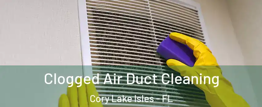 Clogged Air Duct Cleaning Cory Lake Isles - FL