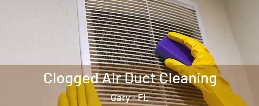 Clogged Air Duct Cleaning Gary - FL