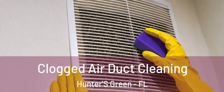 Clogged Air Duct Cleaning Hunter'S Green - FL