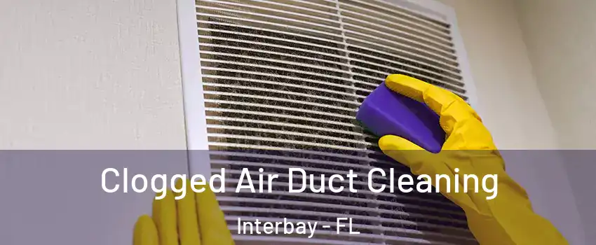 Clogged Air Duct Cleaning Interbay - FL