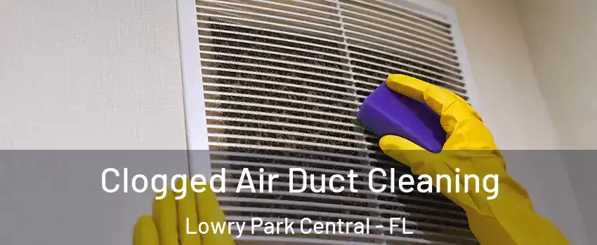 Clogged Air Duct Cleaning Lowry Park Central - FL