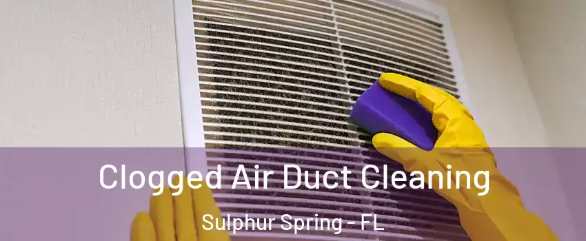 Clogged Air Duct Cleaning Sulphur Spring - FL