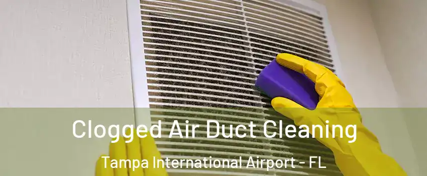 Clogged Air Duct Cleaning Tampa International Airport - FL
