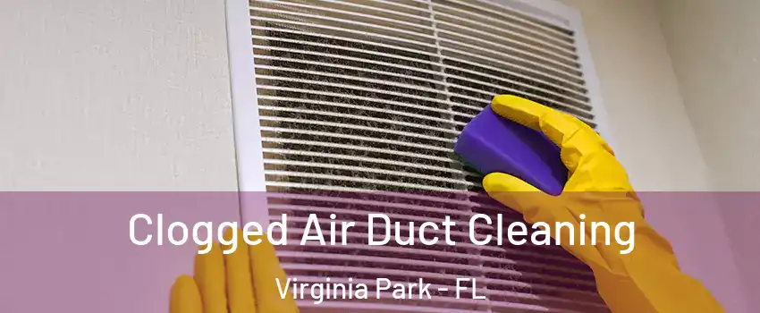 Clogged Air Duct Cleaning Virginia Park - FL