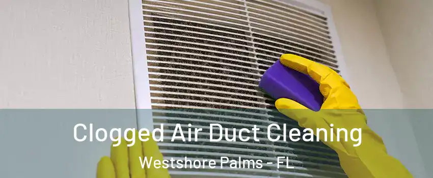 Clogged Air Duct Cleaning Westshore Palms - FL