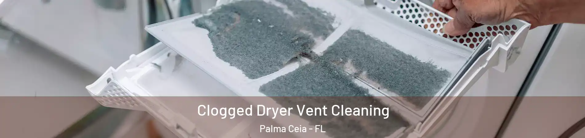 Clogged Dryer Vent Cleaning Palma Ceia - FL