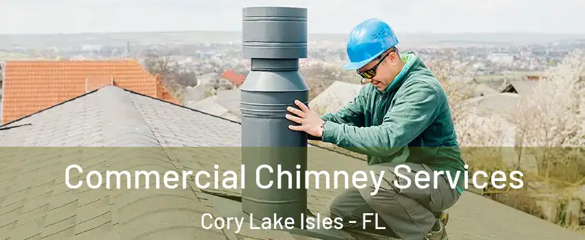 Commercial Chimney Services Cory Lake Isles - FL