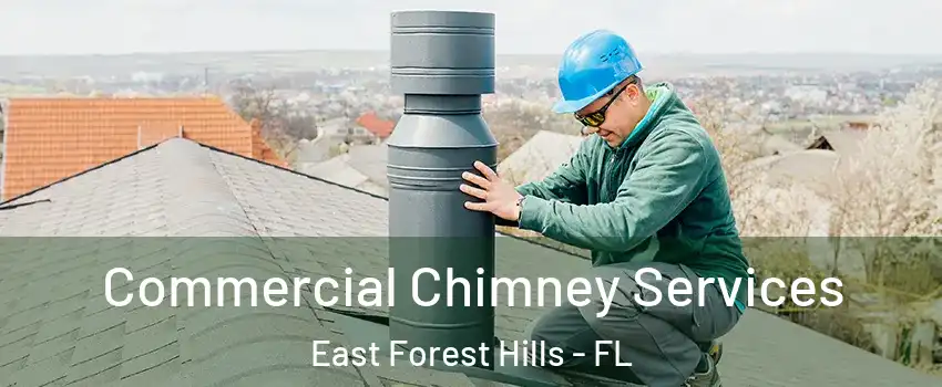Commercial Chimney Services East Forest Hills - FL