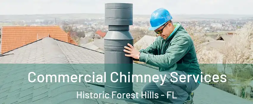 Commercial Chimney Services Historic Forest Hills - FL