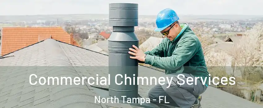 Commercial Chimney Services North Tampa - FL