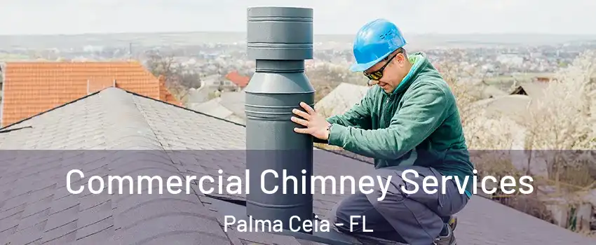 Commercial Chimney Services Palma Ceia - FL