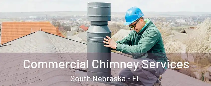 Commercial Chimney Services South Nebraska - FL