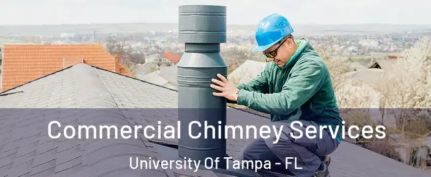 Commercial Chimney Services University Of Tampa - FL