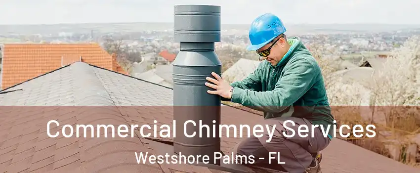 Commercial Chimney Services Westshore Palms - FL