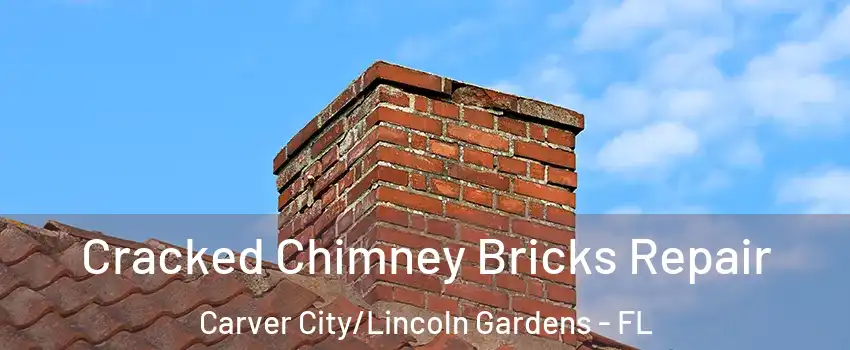 Cracked Chimney Bricks Repair Carver City/Lincoln Gardens - FL