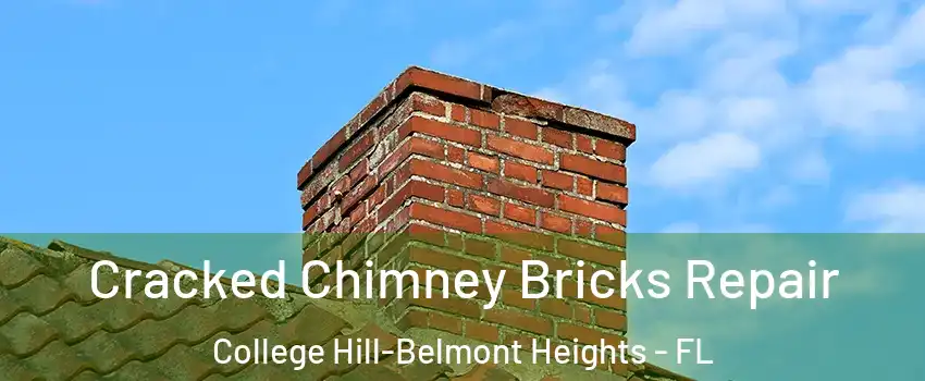 Cracked Chimney Bricks Repair College Hill-Belmont Heights - FL