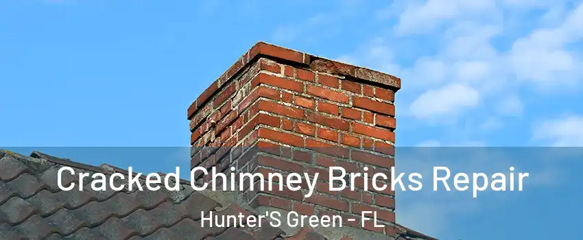 Cracked Chimney Bricks Repair Hunter'S Green - FL