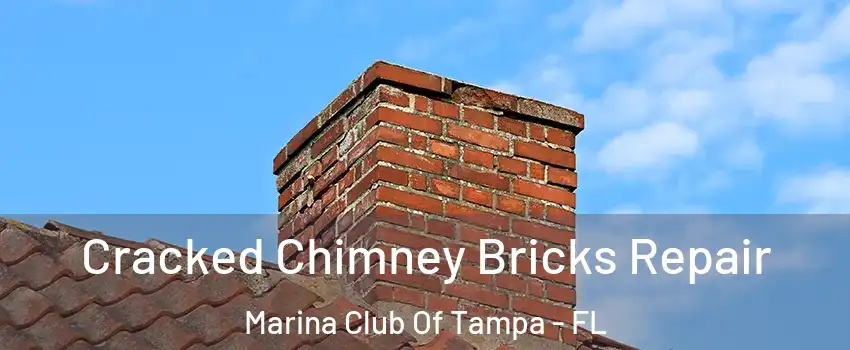Cracked Chimney Bricks Repair Marina Club Of Tampa - FL