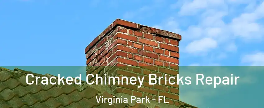 Cracked Chimney Bricks Repair Virginia Park - FL