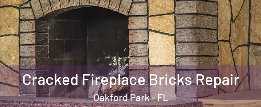 Cracked Fireplace Bricks Repair Oakford Park - FL