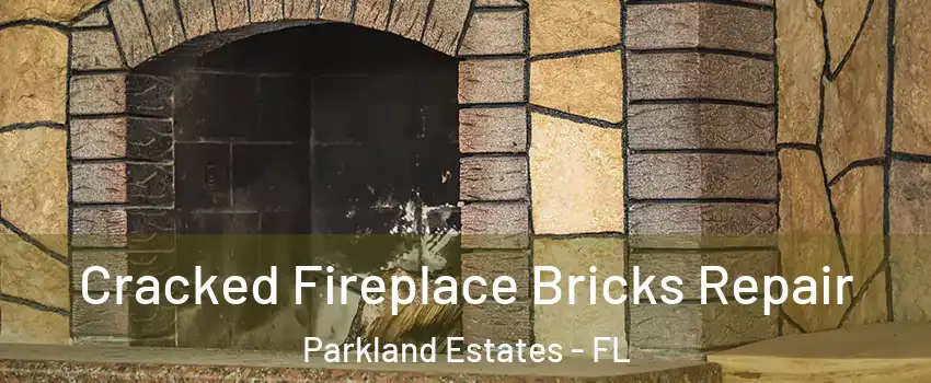 Cracked Fireplace Bricks Repair Parkland Estates - FL
