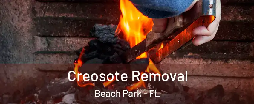Creosote Removal Beach Park - FL