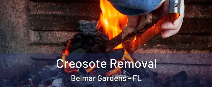 Creosote Removal Belmar Gardens - FL