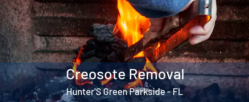 Creosote Removal Hunter'S Green Parkside - FL
