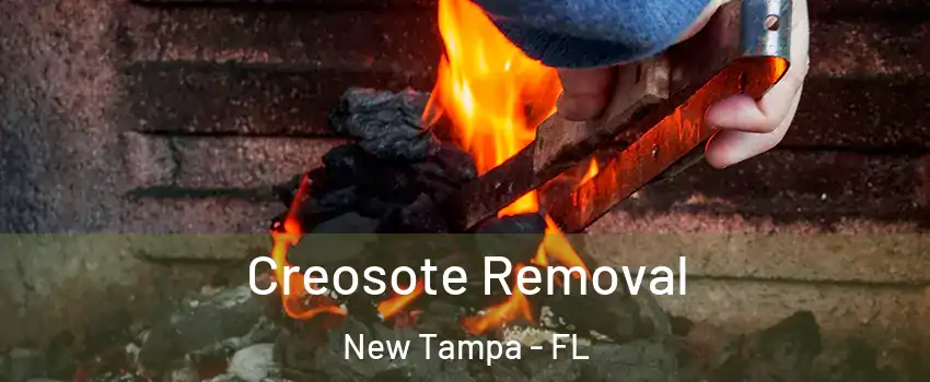 Creosote Removal New Tampa - FL