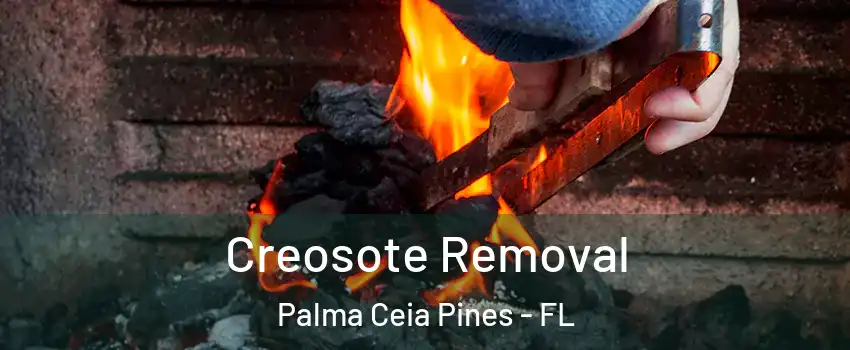 Creosote Removal Palma Ceia Pines - FL