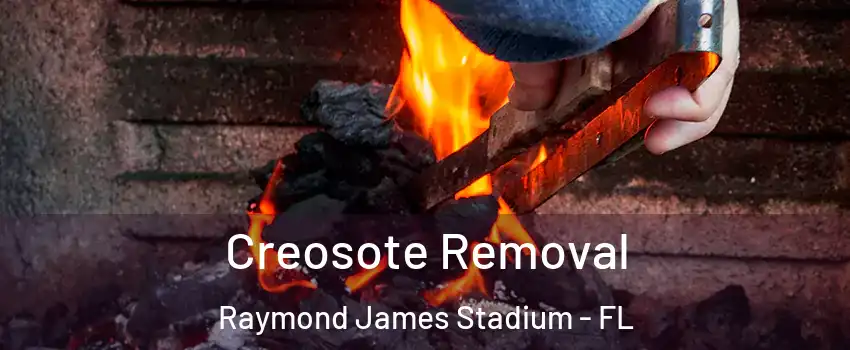 Creosote Removal Raymond James Stadium - FL