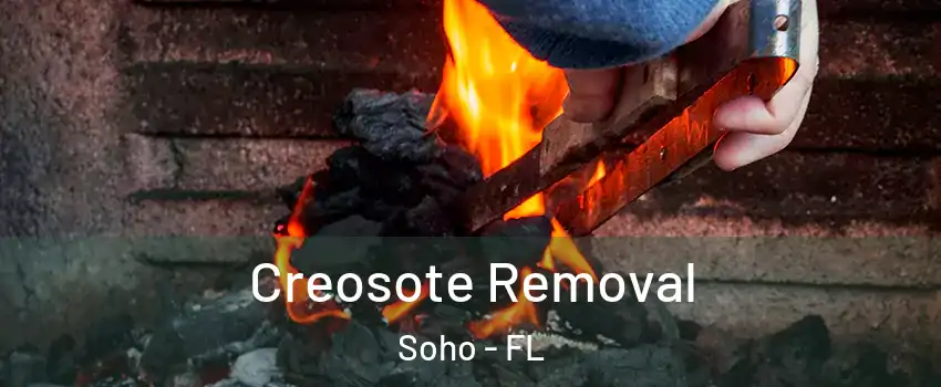 Creosote Removal Soho - FL