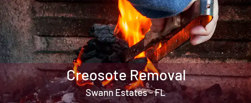 Creosote Removal Swann Estates - FL