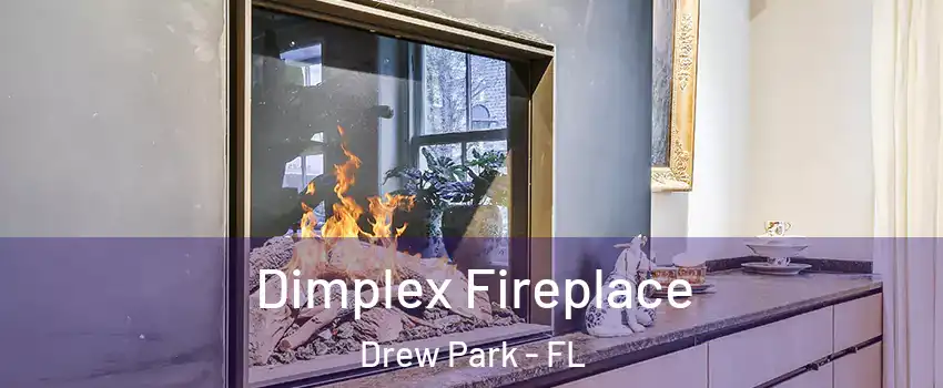 Dimplex Fireplace Drew Park - FL