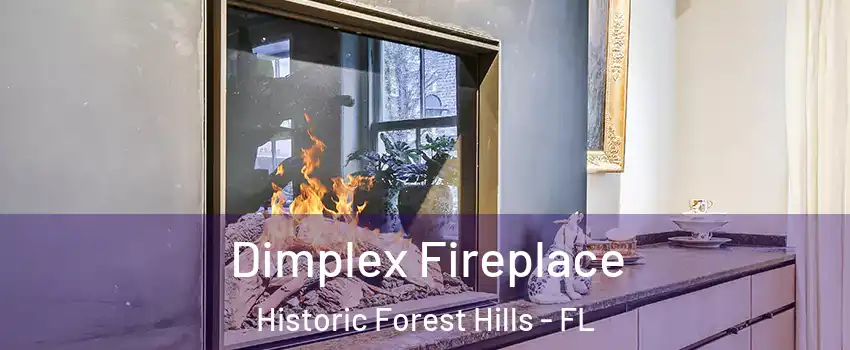 Dimplex Fireplace Historic Forest Hills - FL