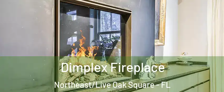 Dimplex Fireplace Northeast/Live Oak Square - FL