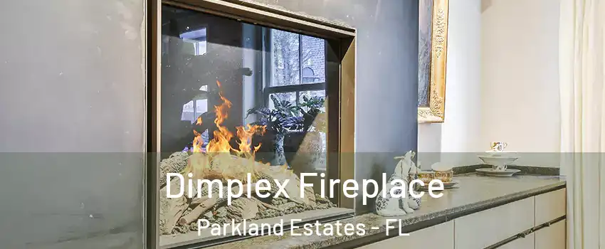 Dimplex Fireplace Parkland Estates - FL