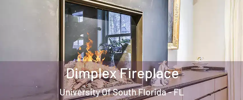 Dimplex Fireplace University Of South Florida - FL