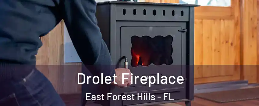 Drolet Fireplace East Forest Hills - FL