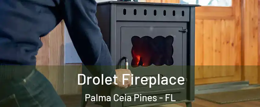 Drolet Fireplace Palma Ceia Pines - FL