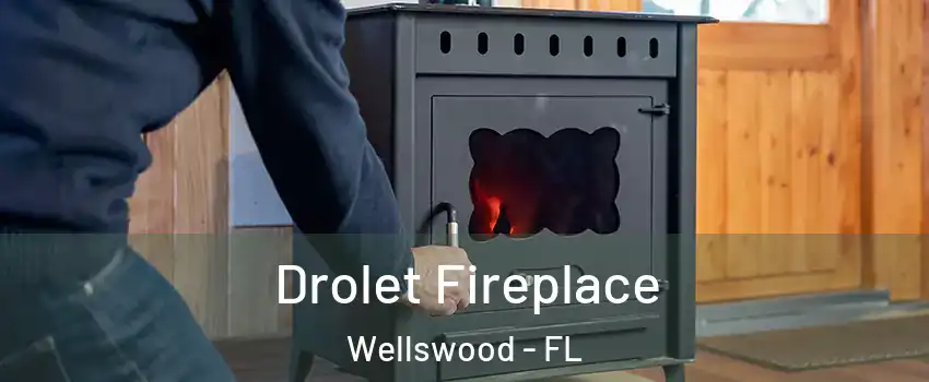 Drolet Fireplace Wellswood - FL