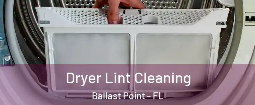 Dryer Lint Cleaning Ballast Point - FL