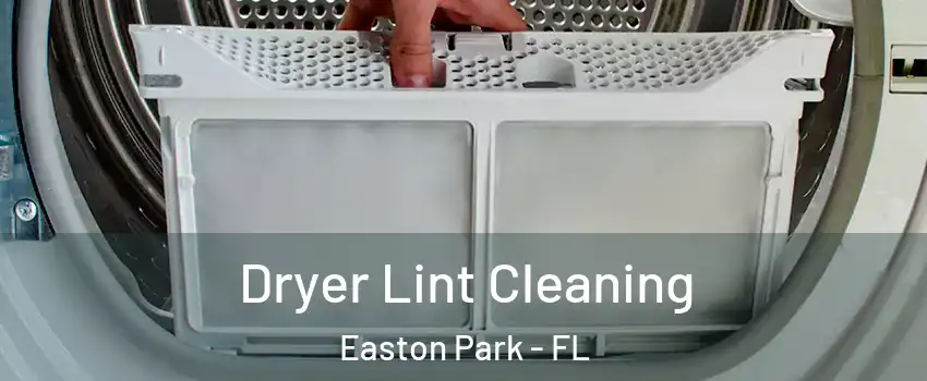 Dryer Lint Cleaning Easton Park - FL