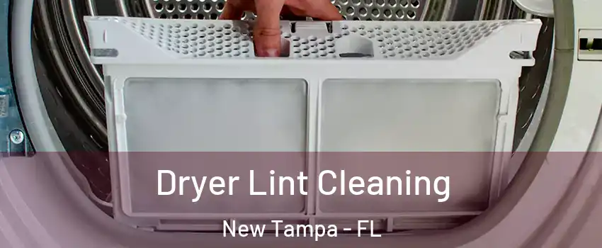 Dryer Lint Cleaning New Tampa - FL
